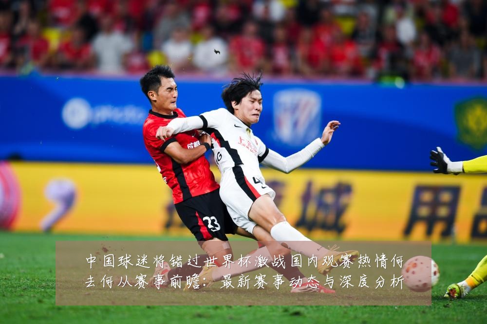 中国球迷将错过世界杯激战国内观赛热情何去何从赛事前瞻:最新赛事动态与深度分析